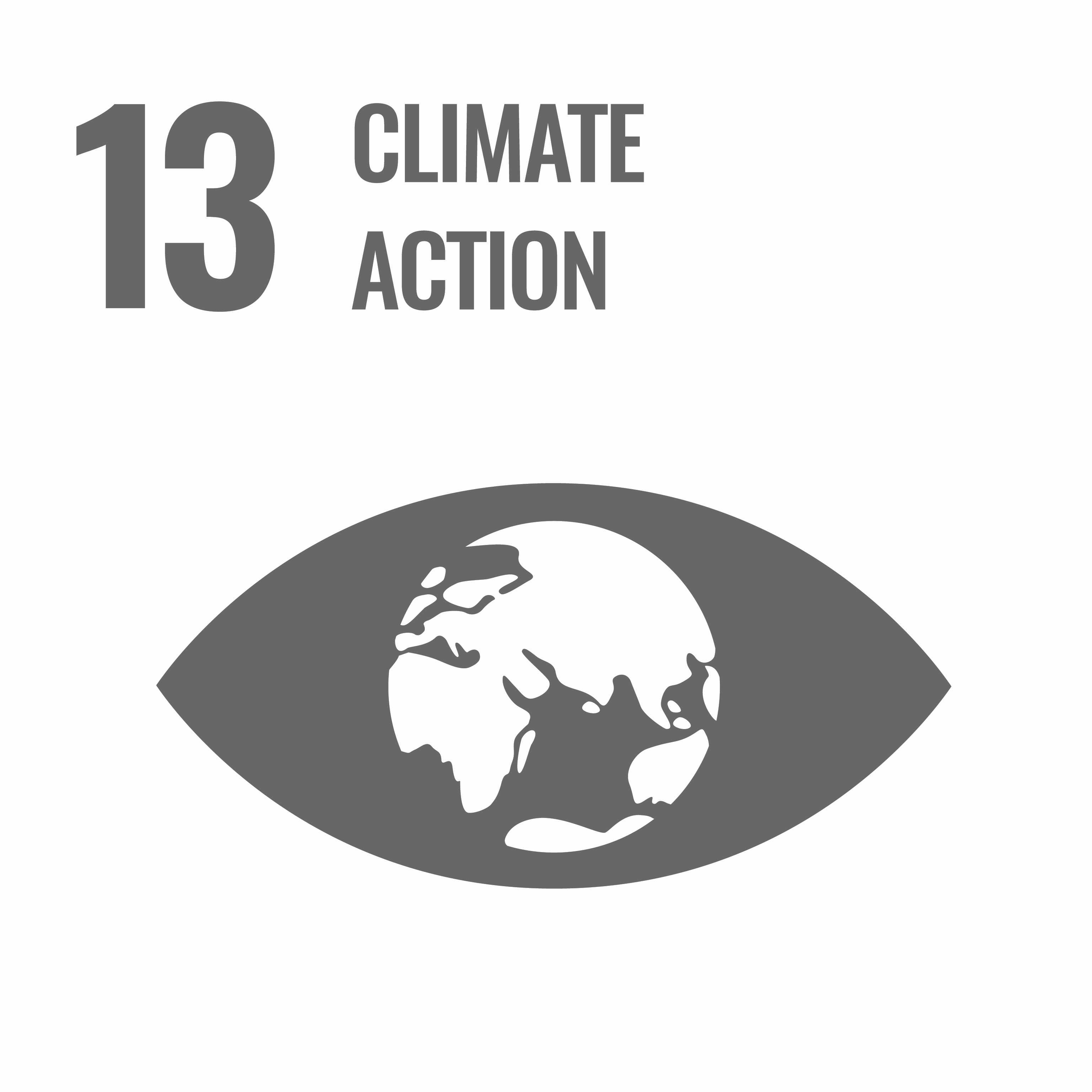 SDG 13: Climate Action
