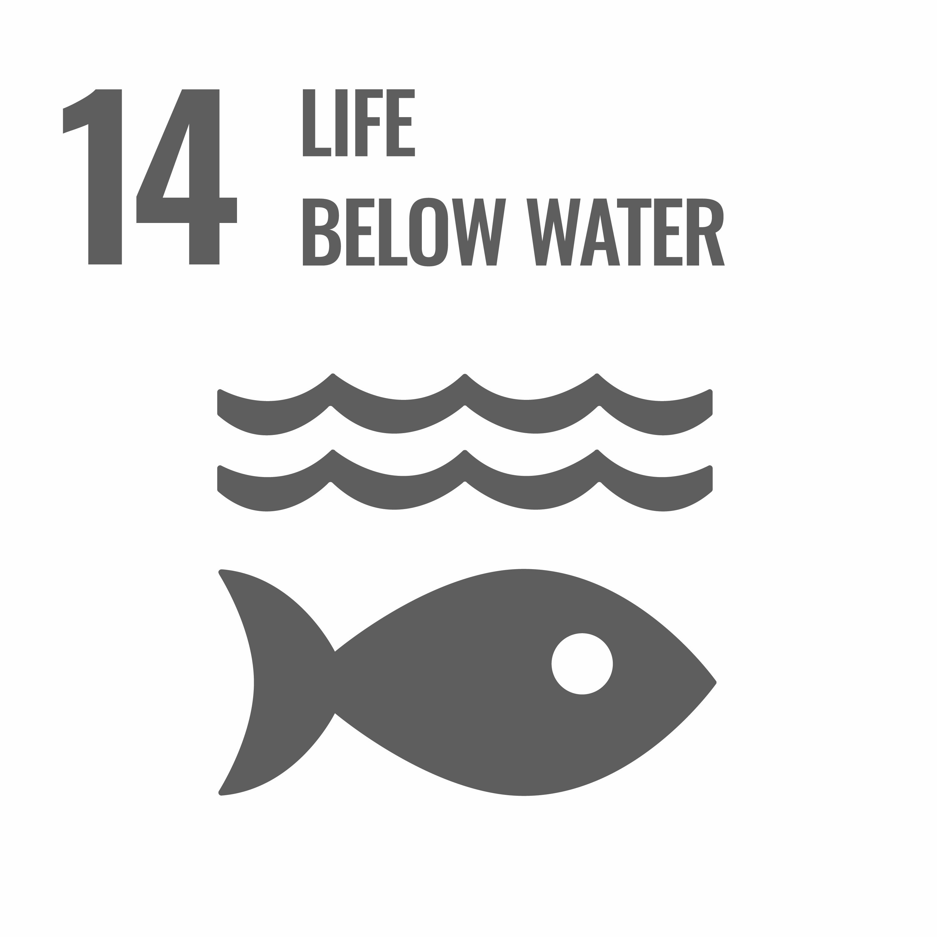 SDG 14: Life Below Water