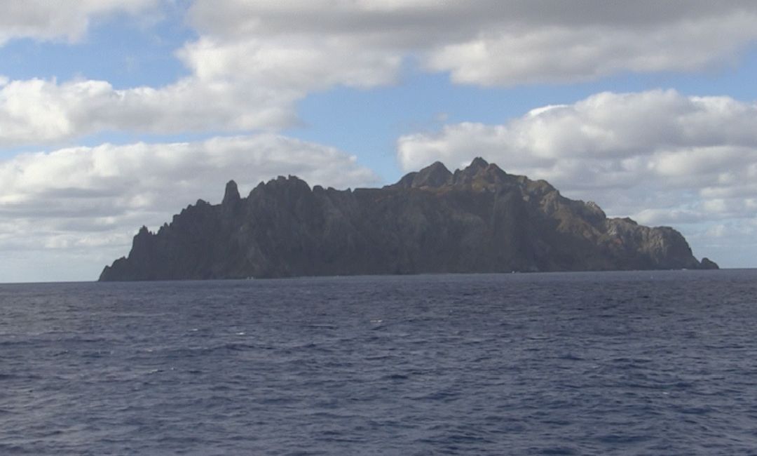 Brazil's most mysterious oceanic island recovers part of its forest after eliminating goats
